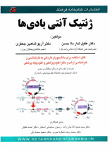 Genetics of immunoglobulins