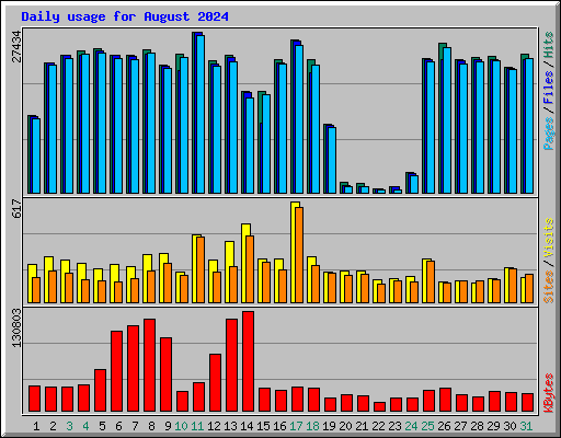 Daily usage for August 2024