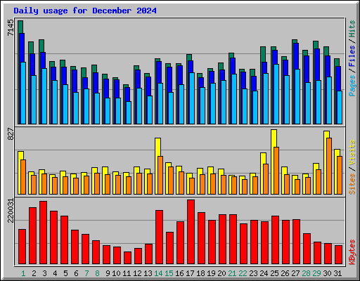 Daily usage for December 2024