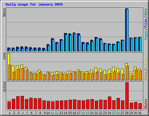 Daily usage for January 2025