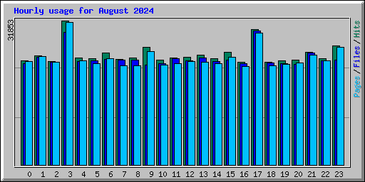 Hourly usage for August 2024
