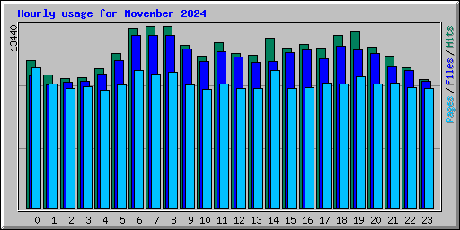 Hourly usage for November 2024