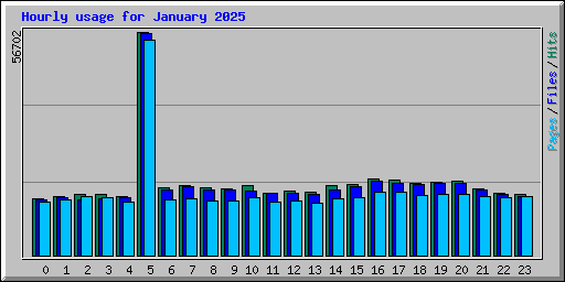 Hourly usage for January 2025