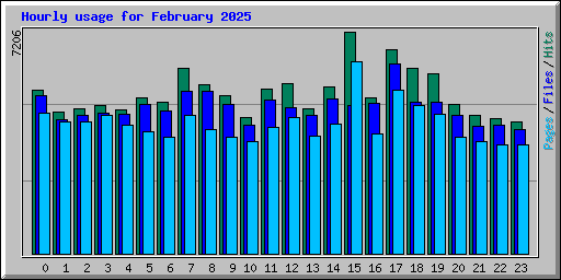 Hourly usage for February 2025