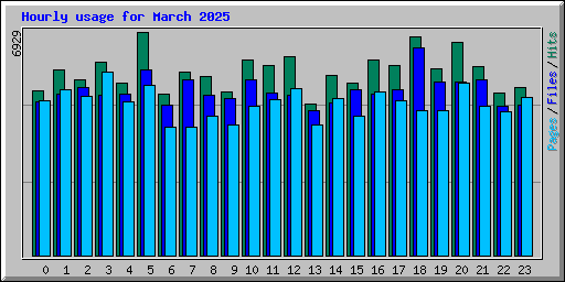 Hourly usage for March 2025