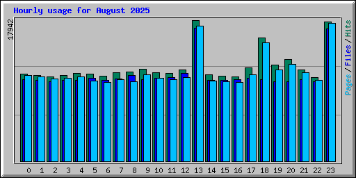 Hourly usage for August 2025