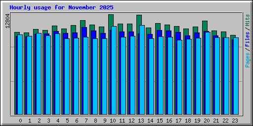 Hourly usage for November 2025